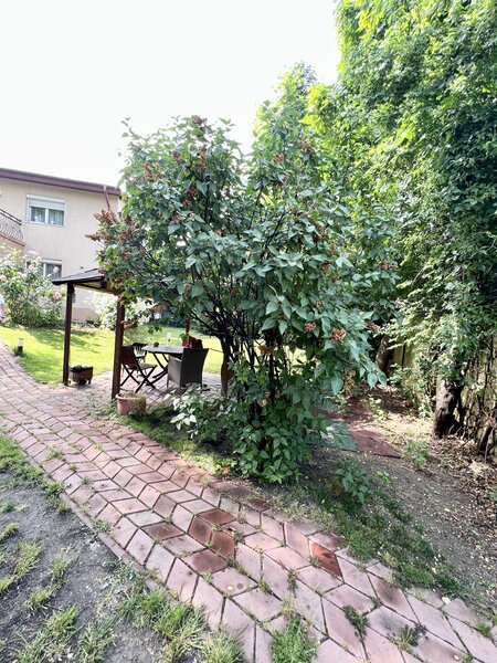 Nicolae Grigorescu, Titan