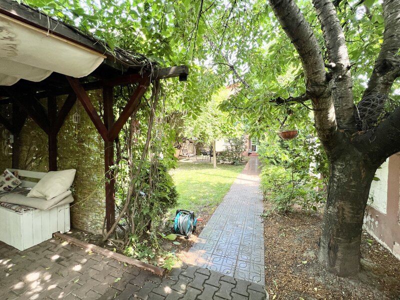 Nicolae Grigorescu, Titan