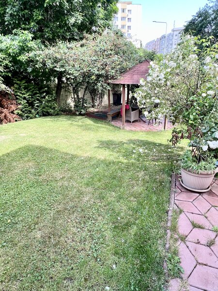 Nicolae Grigorescu, Titan