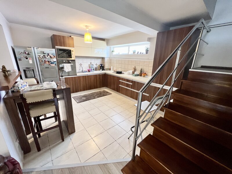 Nicolae Grigorescu, Titan