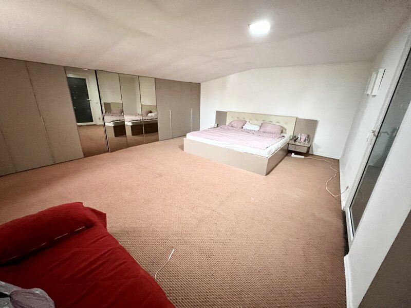 Nicolae Grigorescu, Titan