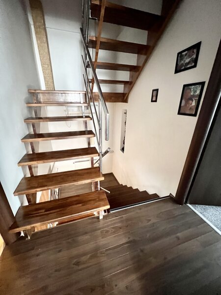 Nicolae Grigorescu, Titan