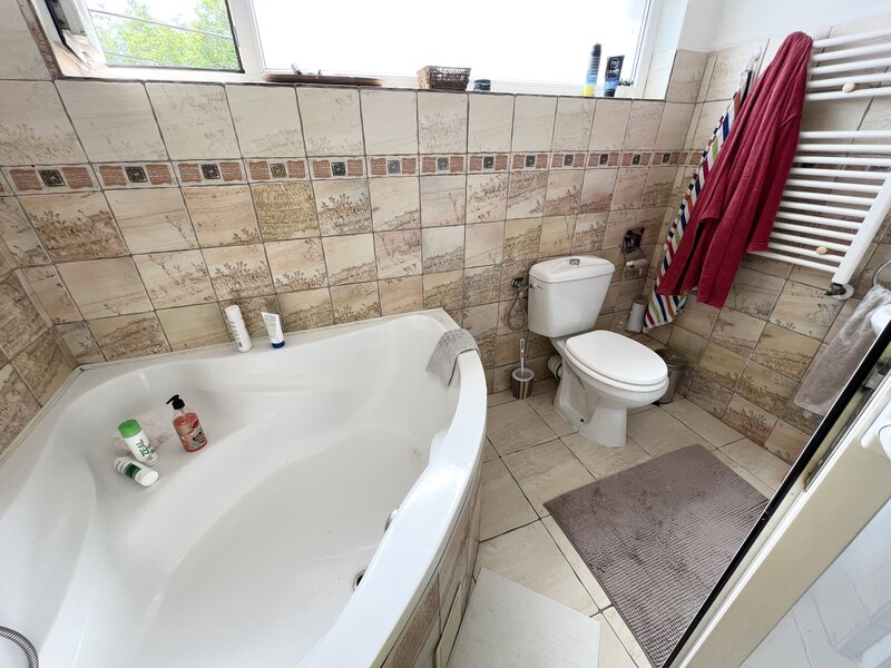 Nicolae Grigorescu, Titan