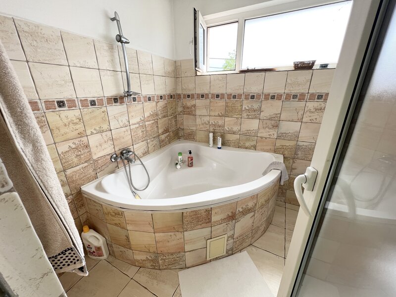 Nicolae Grigorescu, Titan