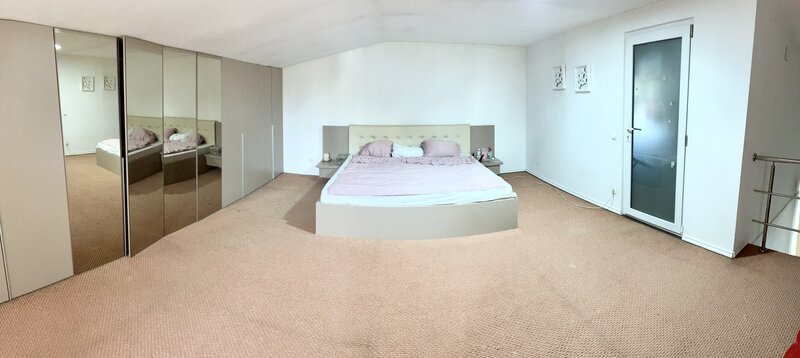 Nicolae Grigorescu, Titan